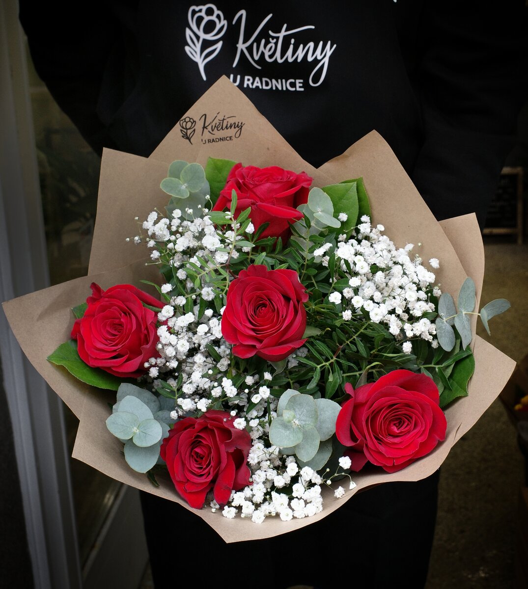 Pokojova rostlina - 500 Kč